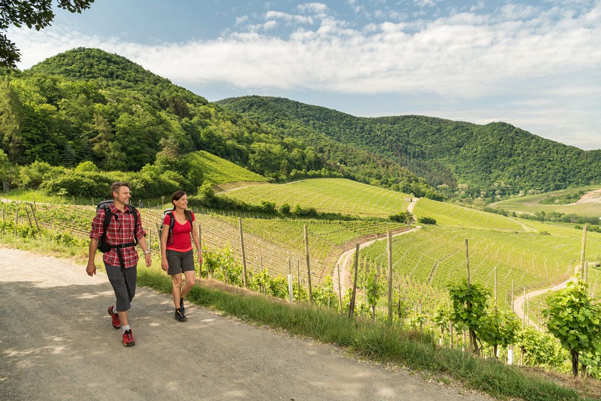 Ahrsteig, Deutschlands Schönste Wanderwege 2019