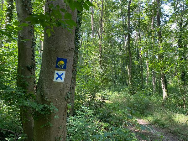 Brandenburg mit Berlin