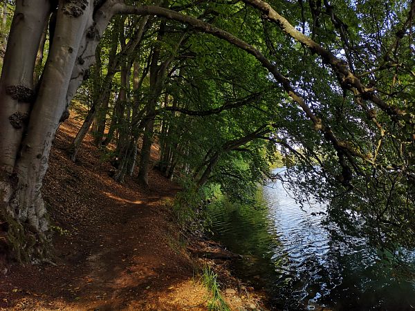 Brandenburg mit Berlin