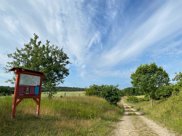 Brandenburg mit Berlin