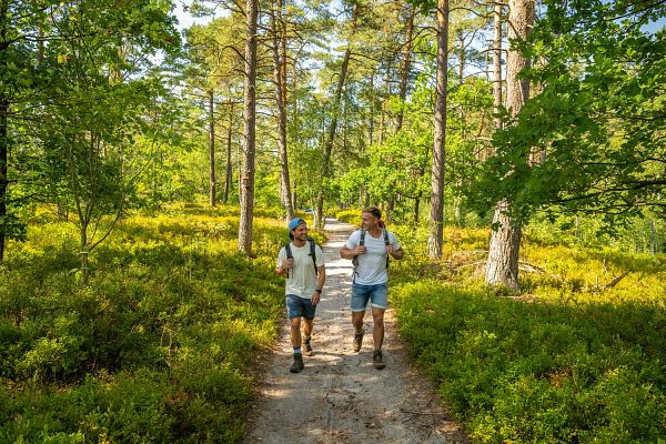 Niedersachsen mit Hamburg