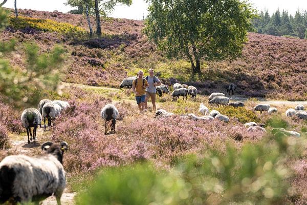 Niedersachsen mit Hamburg