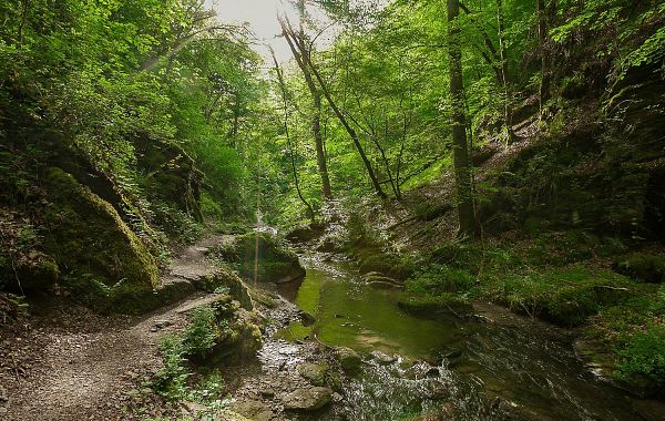 Rheinland-Pfalz