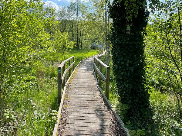 Nordrhein-Westfalen