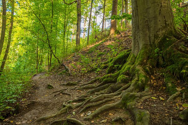 Rheinland-Pfalz