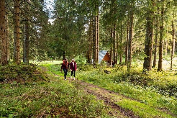 Gipfelwanderweg Suhl