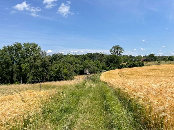 Rheinland-Pfalz