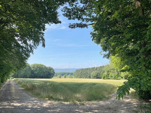 Rheinland-Pfalz