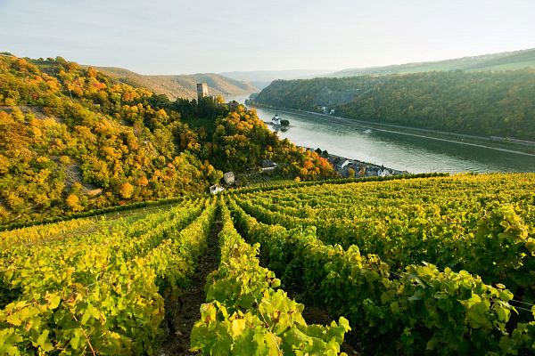 Rheinland-Pfalz