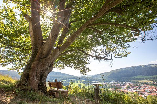 Familienwanderweg Hexenpfad