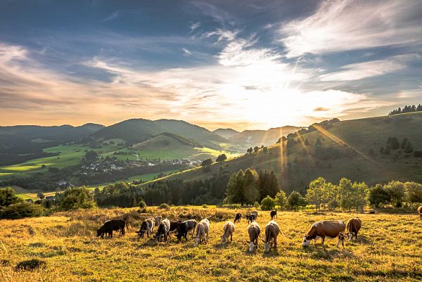 Bernauer Hochtal Steig