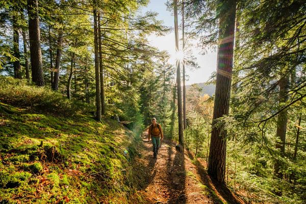 Schluchtenduo im Nagoldtal