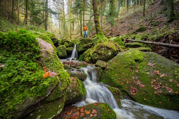 Baden-Württemberg
