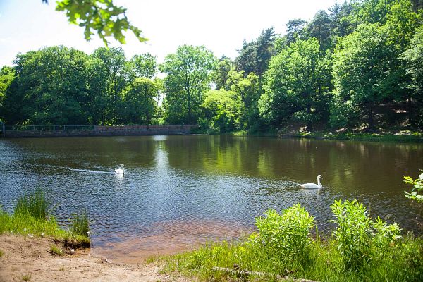 Sachsen