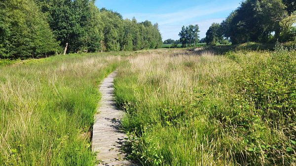 Niedersachsen mit Hamburg
