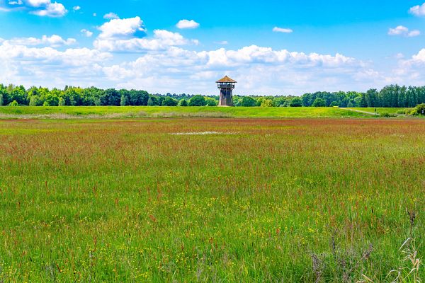 Niedersachsen mit Hamburg