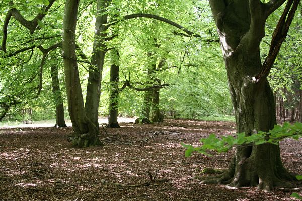Niedersachsen mit Hamburg