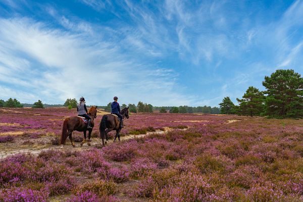 Niedersachsen mit Hamburg