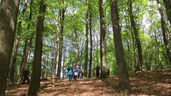 Wanderland Brandenburg